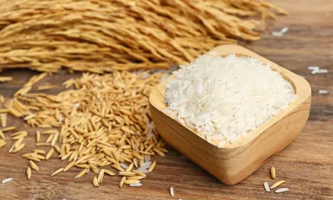 Giá lúa gạo hôm nay 4/4: Giá lúa gạo ổn định