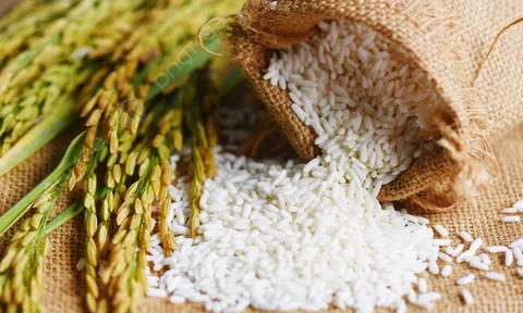 Giá lúa gạo hôm nay 5/4: Giao dịch trầm lắng