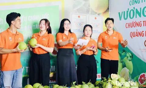 Kinh tế nội dung và sự dịch chuyển của chuỗi giá trị nông sản