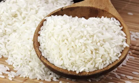 Giá lúa gạo hôm nay 8/4/2026: Giá gạo nguyên liệu tăng nhẹ