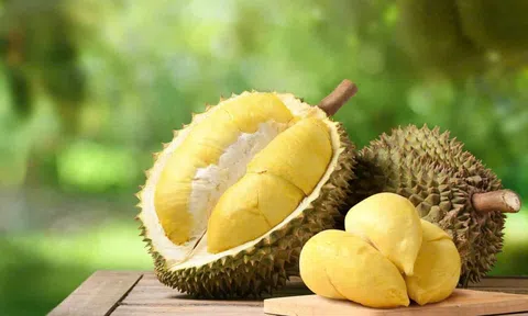 Giá sầu riêng hôm nay 9/4: Sầu riêng Thái tăng nhẹ