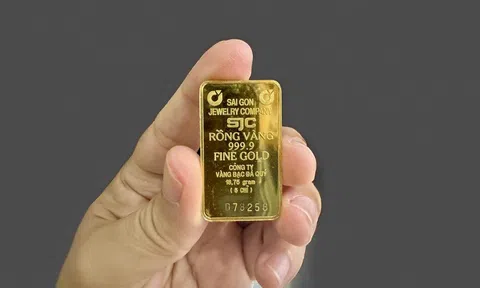 Giá vàng hôm nay 9/4/2026: Trong nước lao dốc mạnh