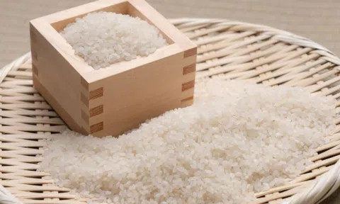 Giá lúa gạo hôm nay 11/4: Giá gạo xuất khẩu tăng mạnh