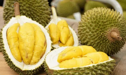 Giá sầu riêng hôm nay 15/4/2026: Duy trì ổn định ở mức cao