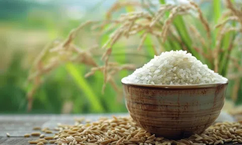 Giá lúa gạo hôm nay 29/7/2026: Duy trì ổn định, gạo xuất khẩu bật tăng