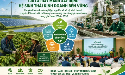 Gia Lai kiến tạo hệ sinh thái kinh doanh bền vững, tiếp sức doanh nghiệp chuyển đổi xanh