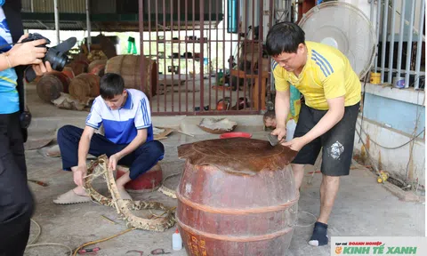 Nghề làm trống da nổi tiếng xứ Nghệ tất bật vụ Tết