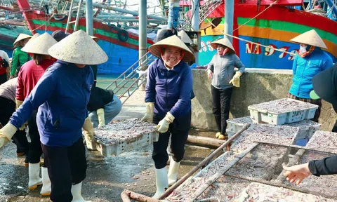 Kinh tế làng ven biển khởi sắc nhờ nghề chế biến cá cơm truyền thống