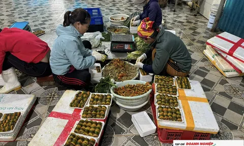 Làng Phan Thanh tất bật chế biến lươn phục vụ thị trường Tết