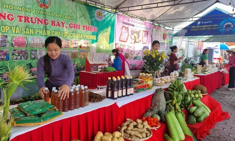 Sôi nổi gian hàng nông sản sạch của nông dân An Châu tại Lễ hội Đền Cuông 2026