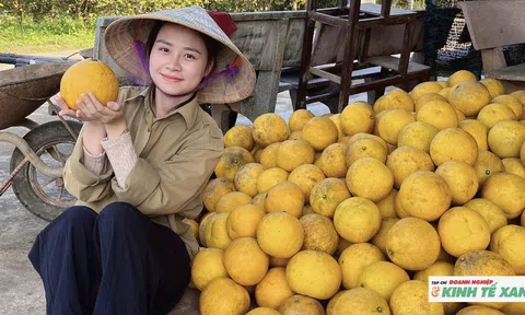 Nữ cử nhân Luật rời phố về quê làm “người kể chuyện nông sản”