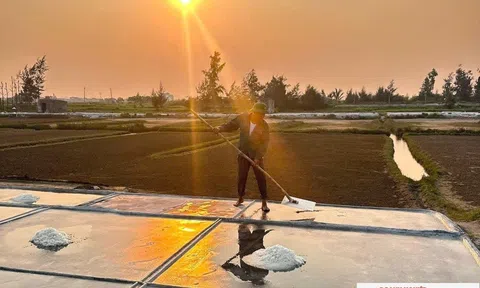 Diêm dân xứ Nghệ nhọc nhằn mưu sinh với nghề muối