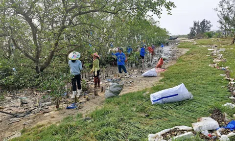 Huy động lực lượng “giải cứu” rừng ngập mặn ven sông Lam khỏi ô nhiễm rác thải