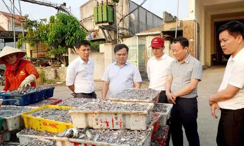 Nông dân tỉnh Nghệ An đồng hành, tháo gỡ khó khăn cùng Chi hội Nghề cá