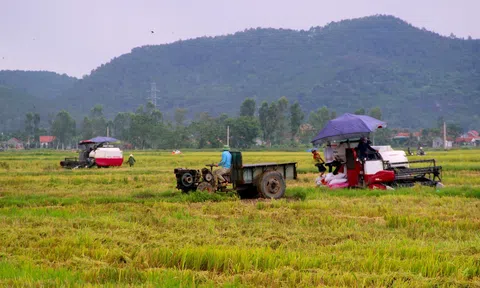 Nghệ An chủ động ứng phó thiên tai, bảo đảm sản xuất vụ hè thu - mùa 2026