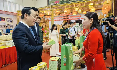 Hội chợ Đặc sản OCOP vùng miền 2026 tại Nghệ An có gì đặc biệt