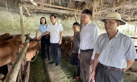 Tín dụng chính sách Nghệ An– “đòn bẩy” phát triển kinh tế nông thôn và bảo đảm an sinh xã hội
