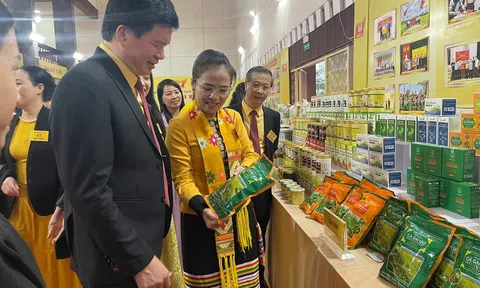 Nghệ An triển khai Bộ tiêu chí OCOP mới