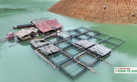 Nuôi cá lồng trên lòng hồ Bản Vẽ mở hướng làm giàu cho người dân miền Tây xứ Nghệ