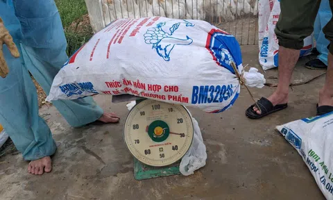 Quỳnh Văn tăng cường  phòng, chống dịch cúm gia cầm H5N1