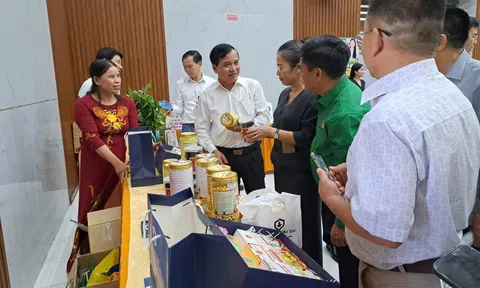 Gỡ “nút thắt” để cây dược liệu trở thành sinh kế bền vững ở Nghệ An