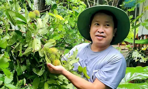 Khu vườn đa dạng cây trồng trên vùng đất đỏ bazan