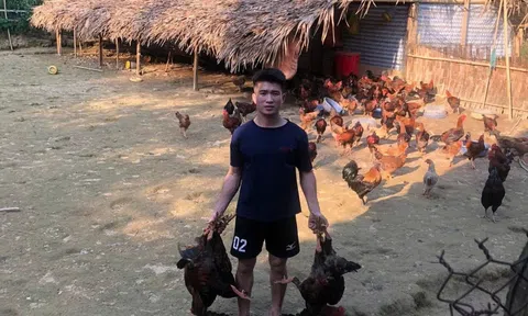 Thanh niên dân tộc Thái làm giàu từ mô hình chăn nuôi tổng hợp