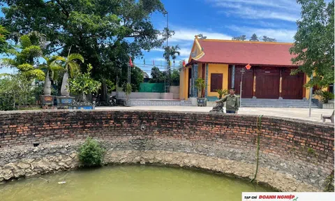 Cây đa, giếng cổ và ngôi đình hồi sinh giữa làng Tiên Đội 555 tuổi