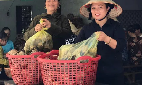 Bánh gai Vĩnh Tường: Giữ nghề xưa, tạo sinh kế hôm nay