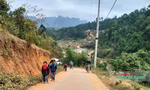 Giữ rừng để sống