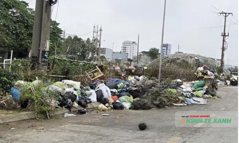 Bãi rác Đông Nam – Khi lán trại không còn là lối thoát