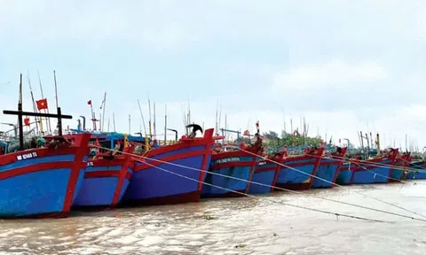 Ninh Bình siết chặt quản lý, quyết tâm cùng cả nước gỡ “thẻ vàng” IUU