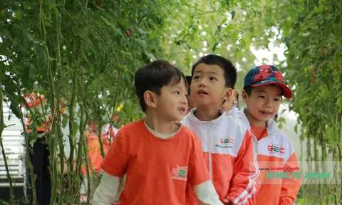 Chạm tay vào nông nghiệp sạch: Khi vườn dâu trở thành lớp học