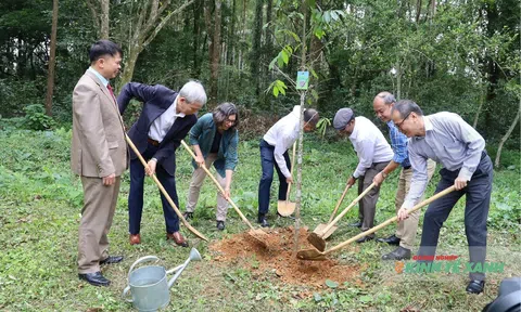 Khai mở “vốn rừng” cho tăng trưởng xanh của Việt Nam