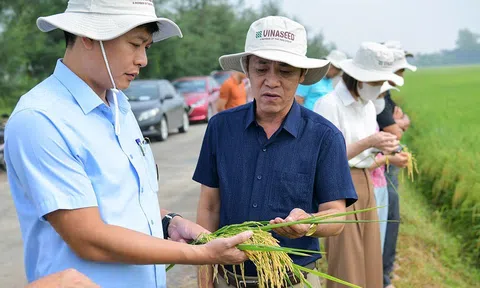 Ninh Bình – Nông nghiệp đa giá trị bứt phá
