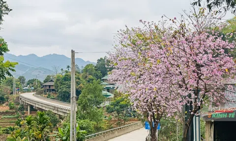 Tam Chung: Khi vùng biên “thức giấc” từ những điều mộc mạc nhất