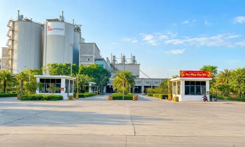 Xi măng Long Sơn: Khát vọng xây đắp tương lai hòa cùng nhịp đập đất nước