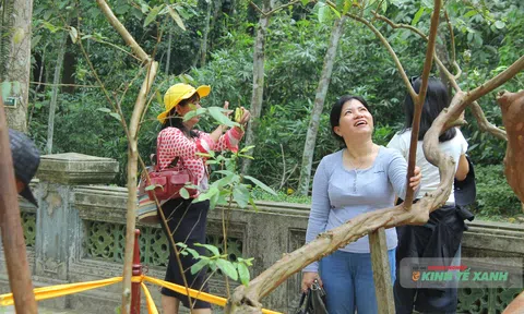 Du lịch văn hóa tâm linh Thanh Hóa bứt phá mạnh trong kỳ nghỉ lễ 30/4 – 1/5