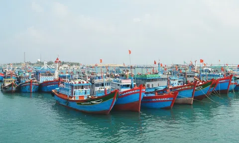 Ninh Bình tăng cường chống khai thác IUU, hướng tới phát triển thủy sản bền vững