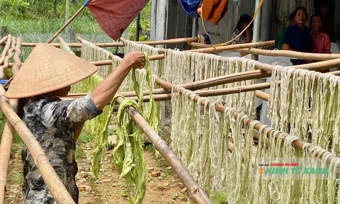 Vàng xanh từ những phụ phẩm nông nghiệp