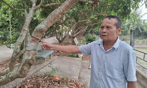 Lão nông 70 tuổi thành công với mô hình trang trại tổng hợp
