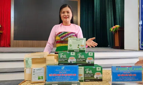 Cô gái Mường và hành trình thắp sáng ngọn lửa hạnh phúc từ dược liệu