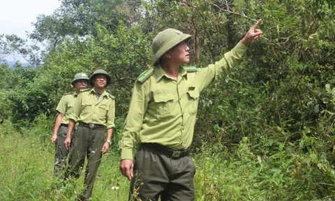 114 xã, phường ở Thanh Hóa có nguy cơ cháy rừng cao