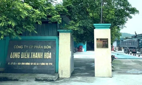 Thanh tra phát hiện hàng loạt sai phạm tại 3 doanh nghiệp phân bón ở Thanh Hóa