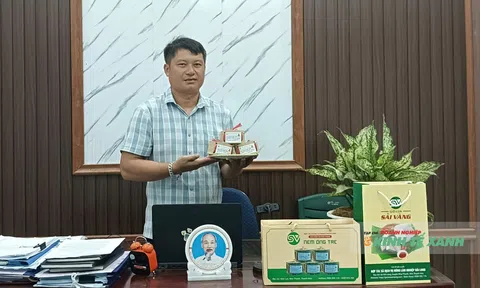 Từ món ăn của những ngày lên rừng đến đặc sản nem ống tre