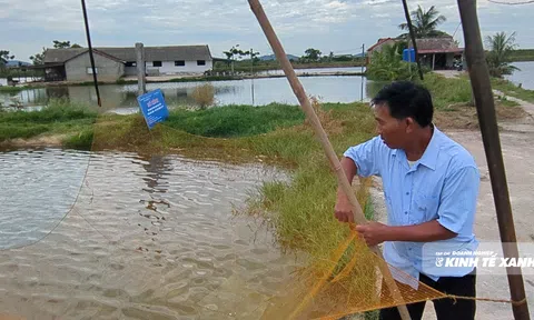 Người đàn ông đi trước thị trường gần ba thập kỷ