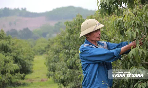 Mỗi vùng trồng một "tấm căn cước"