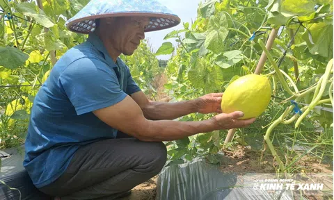 Đất đổi mùa, người đổi cách làm