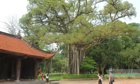 Các di tích trọng điểm ở Thanh Hóa sẵn sàng đón khách dịp Quốc khánh 2/9