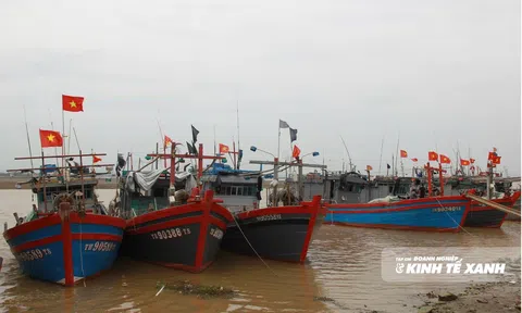 Gỡ “thẻ vàng”, học cách sống lâu với biển